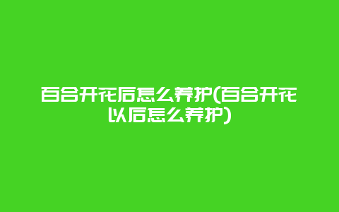 百合开花后怎么养护(百合开花以后怎么养护)