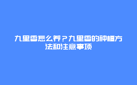 九里香怎么养？九里香的种植方法和注意事项