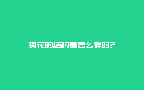 梅花的结构是怎么样的?