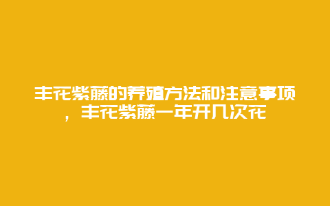 丰花紫藤的养殖方法和注意事项，丰花紫藤一年开几次花