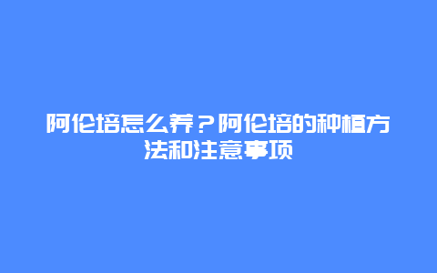 阿伦培怎么养？阿伦培的种植方法和注意事项