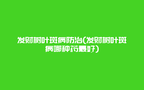 发财树叶斑病防治(发财树叶斑病哪种药最好)