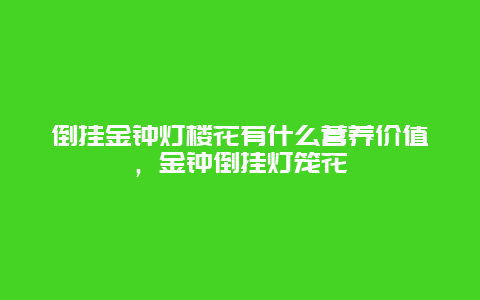 倒挂金钟灯楼花有什么营养价值，金钟倒挂灯笼花