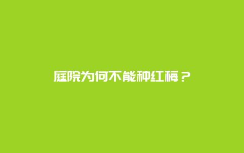 庭院为何不能种红梅？