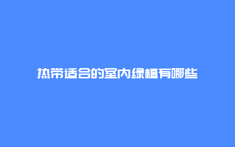 热带适合的室内绿植有哪些