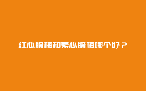 红心腊梅和素心腊梅哪个好？