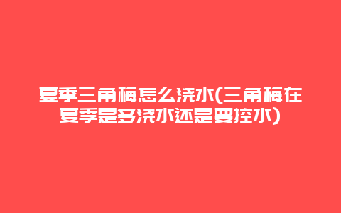 夏季三角梅怎么浇水(三角梅在夏季是多浇水还是要控水)