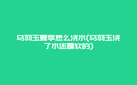 乌羽玉夏季怎么浇水(乌羽玉浇了水还是软的)