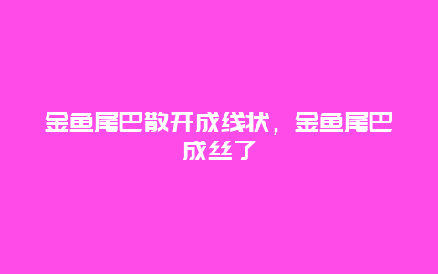 金鱼尾巴散开成线状，金鱼尾巴成丝了