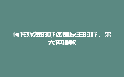 梅花嫁接的好还是原生的好，求大神指教