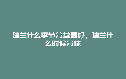 建兰什么季节分盆最好，建兰什么时候分株