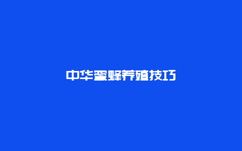 中华蜜蜂养殖技巧