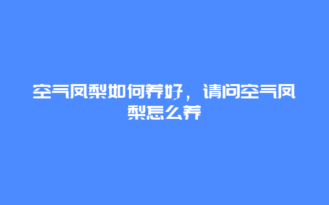 空气凤梨如何养好，请问空气凤梨怎么养