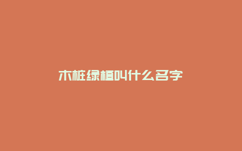 木桩绿植叫什么名字