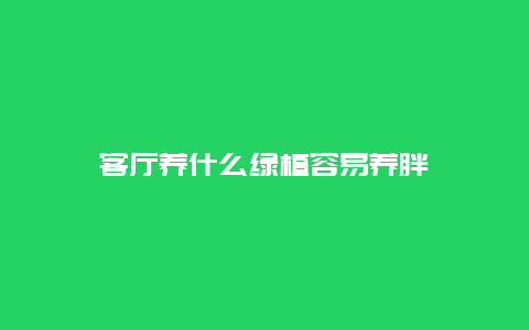 客厅养什么绿植容易养胖