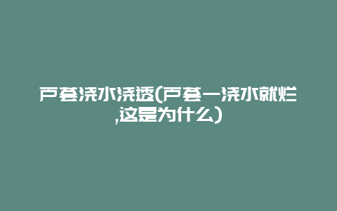 芦荟浇水浇透(芦荟一浇水就烂,这是为什么)