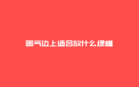 暖气边上适合放什么绿植