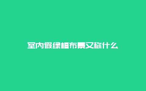 室内假绿植布景又称什么