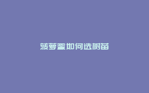 菠萝蜜如何选树苗