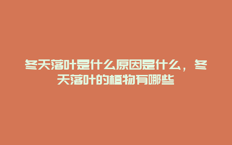 冬天落叶是什么原因是什么，冬天落叶的植物有哪些