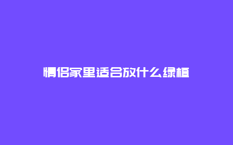 情侣家里适合放什么绿植