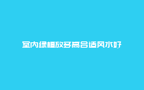 室内绿植放多高合适风水好