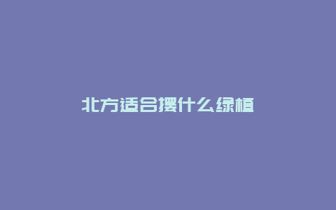 北方适合摆什么绿植