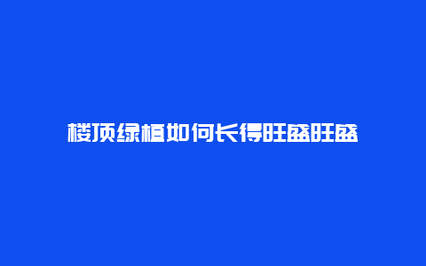 楼顶绿植如何长得旺盛旺盛