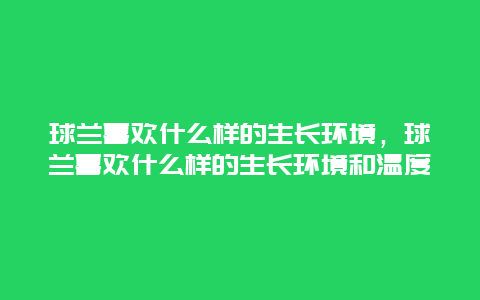 球兰喜欢什么样的生长环境，球兰喜欢什么样的生长环境和温度