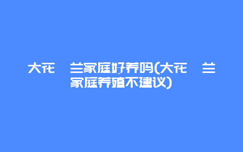 大花蕙兰家庭好养吗(大花蕙兰家庭养殖不建议)