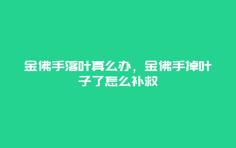 金佛手落叶真么办，金佛手掉叶子了怎么补救