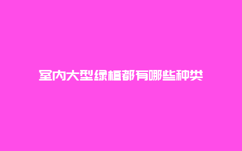 室内大型绿植都有哪些种类