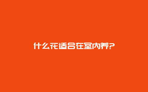 什么花适合在室内养?