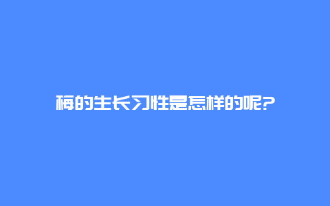 梅的生长习性是怎样的呢?