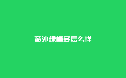 窗外绿植多怎么样