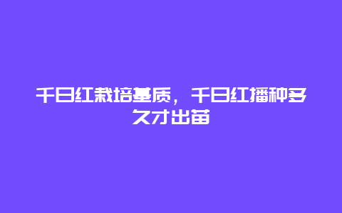 千日红栽培基质，千日红播种多久才出苗