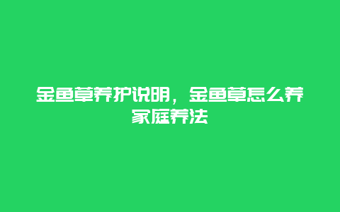 金鱼草养护说明，金鱼草怎么养家庭养法