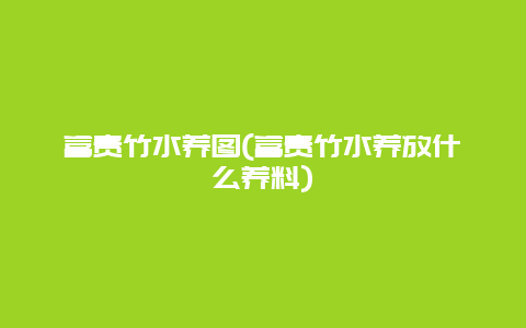 富贵竹水养图(富贵竹水养放什么养料)