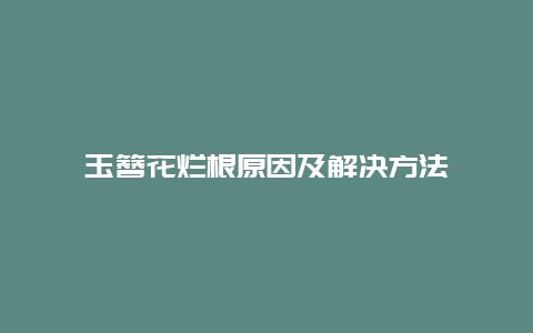 玉簪花烂根原因及解决方法