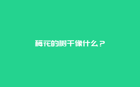 梅花的树干像什么？