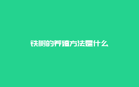 铁树的养殖方法是什么