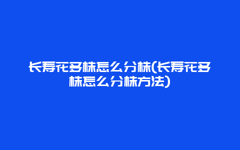 长寿花多株怎么分株(长寿花多株怎么分株方法)