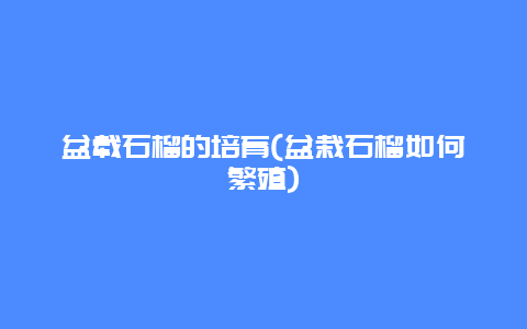 盆载石榴的培育(盆栽石榴如何繁殖)