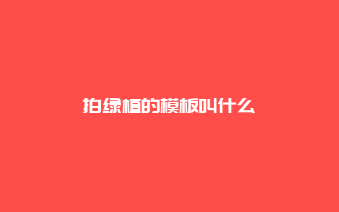 拍绿植的模板叫什么