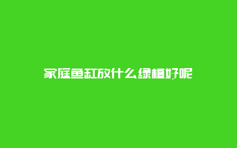 家庭鱼缸放什么绿植好呢