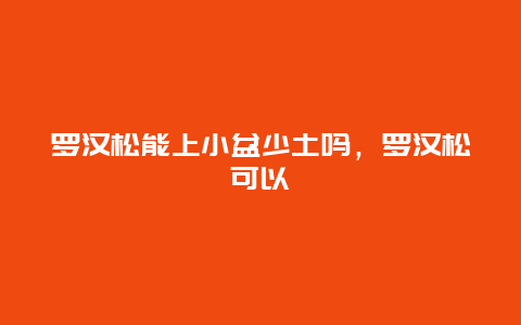 罗汉松能上小盆少土吗，罗汉松可以