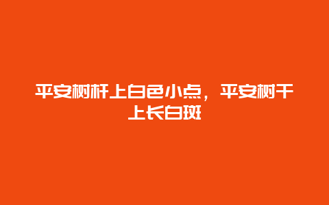 平安树杆上白色小点，平安树干上长白斑