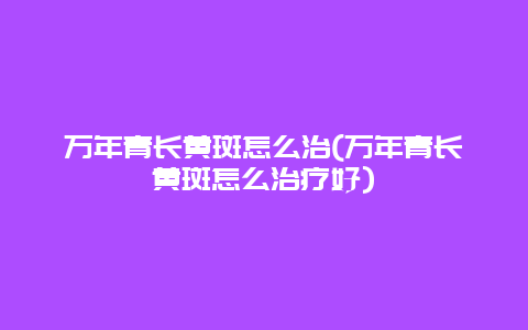 万年青长黄斑怎么治(万年青长黄斑怎么治疗好)