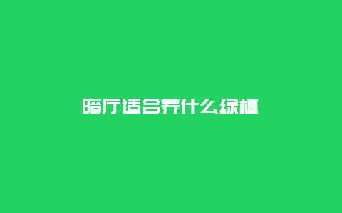 暗厅适合养什么绿植