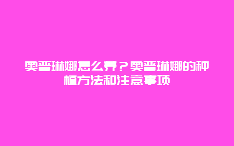 奥普琳娜怎么养？奥普琳娜的种植方法和注意事项